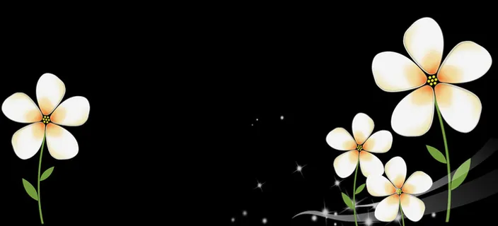 黑色背景白色小花高清