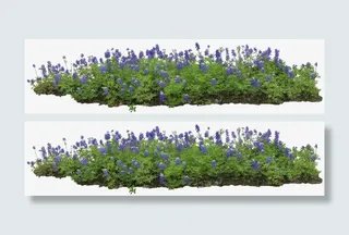 草地 蓝花 绿草png素材免抠