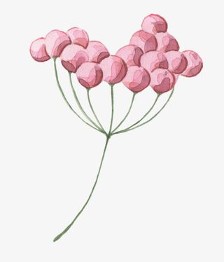 线条上的花朵免抠