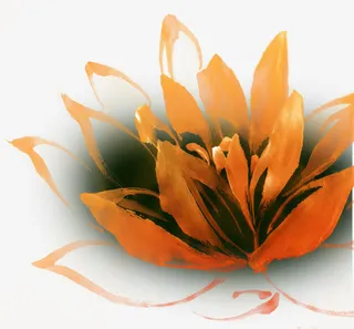 手绘黑红色水彩荷花免抠