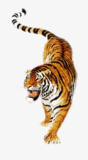 老虎图片免抠