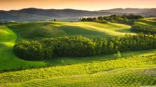 草地,背景,png,素材高清