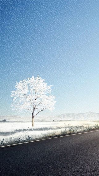 冬天雪景H5背景高清