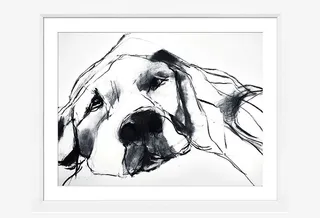 卡通素材手绘免抠