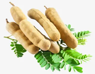 酸角免扣素材1234455547411免抠