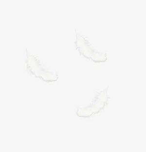 白色漂浮羽毛免抠