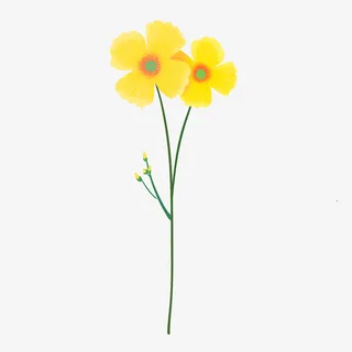 手绘春天植物黄色小花免抠其他元素