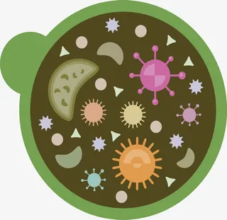 矢量图生物知识免抠