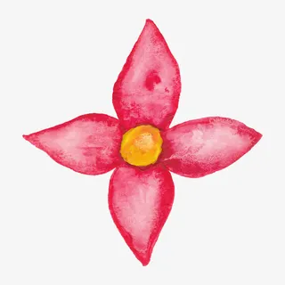 花卉图案花卉图片素材免抠