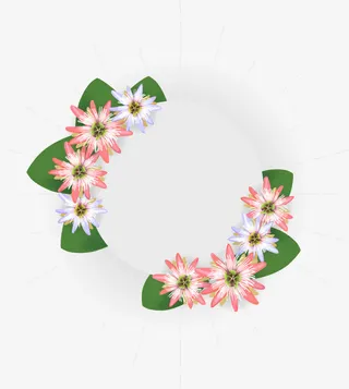 矢量野花花卉免抠