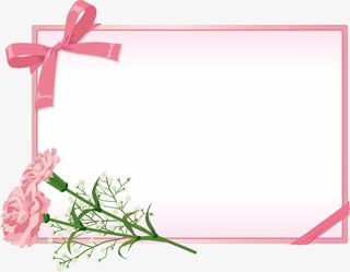 粉色蝴蝶结康乃馨卡片免抠