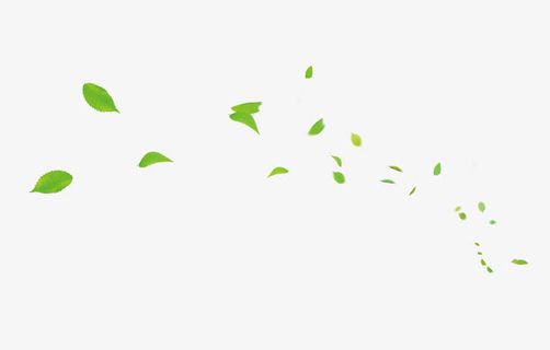 绿叶装饰纹理免抠