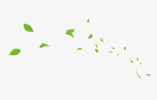 绿叶装饰纹理免抠