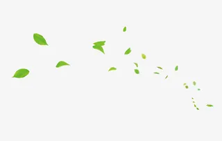 绿叶装饰纹理免抠