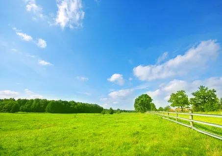 蓝天白草丛草地风景摄影背景高清 蓝天白草丛草地风景摄影背景高清