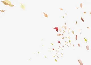 秋季飘舞的落叶免抠