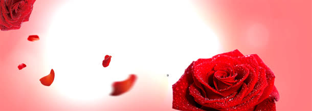女装banner