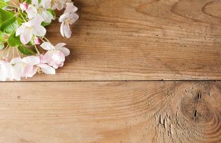 美丽鲜花与木板背景