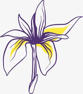 手绘矢量卡通鸢尾花免抠