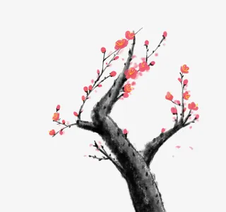 入冬冷傲风雪梅花盛开7免抠