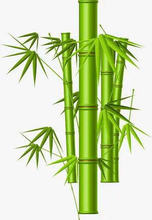 手绘竹子免抠