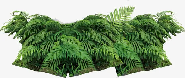 绿草地免抠