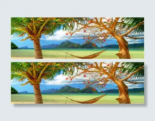 夏威夷风情淘宝海报背景