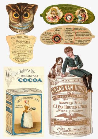 欧美产品插画素材库免抠