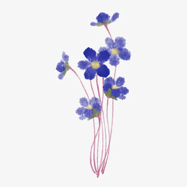 紫色的小花儿免抠