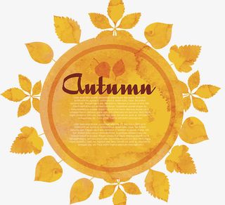 秋季枫叶图案免抠