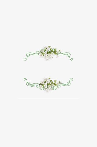 素雅简约花草边框免抠