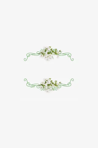 素雅简约花草边框免抠