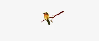 中国风树枝小鸟免抠