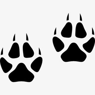 爪印图标免抠
