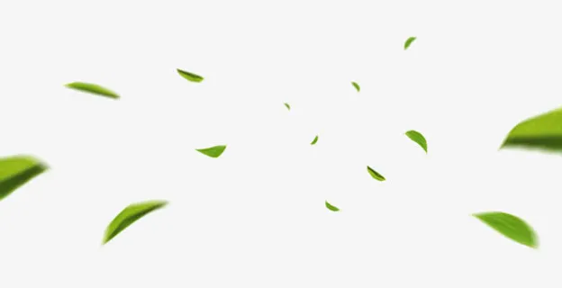 绿色树叶叶子漂浮植物免抠