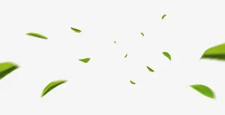 绿色树叶叶子漂浮植物免抠