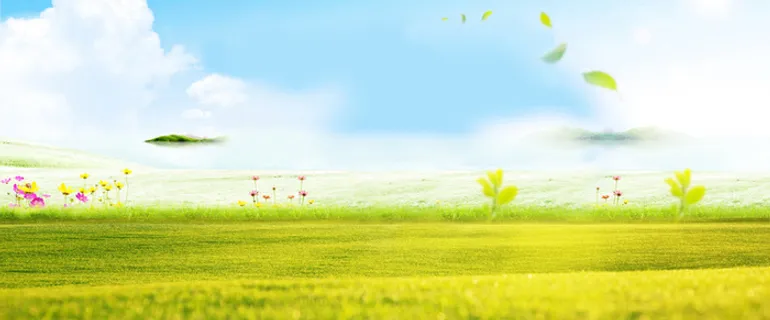 草地清新淘宝天猫背景高清