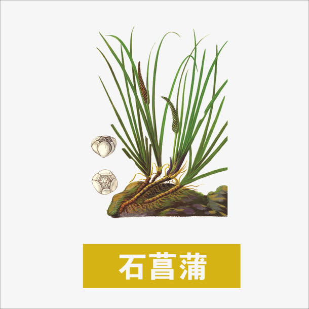 草药免抠