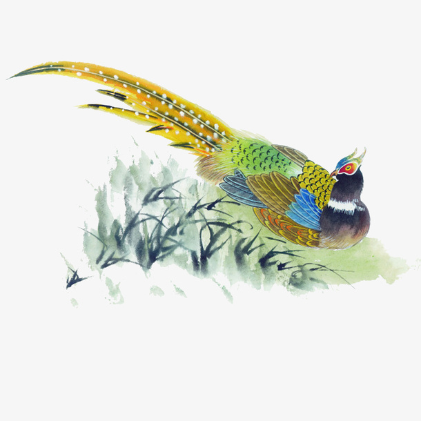 锦鸡免抠