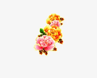 高清牡丹素材免抠