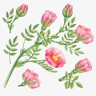 矢量春天的花免抠