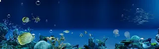 梦幻海底世界背景