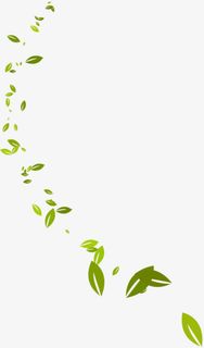 绿叶春天漂浮的绿叶叶子免抠漂浮其他元素