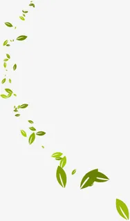 绿叶春天漂浮的绿叶叶子免抠漂浮其他元素
