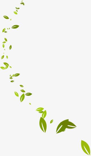 绿叶春天漂浮的绿叶叶子免抠漂浮其他元素