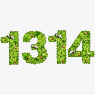 绿叶数字1314免抠