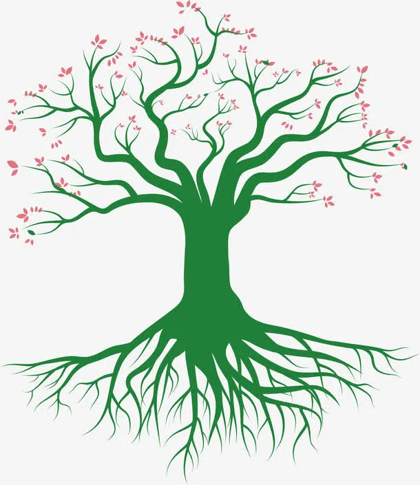 大树树根大树矢量免抠