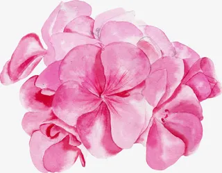 水彩水粉手绘花朵花卉免抠