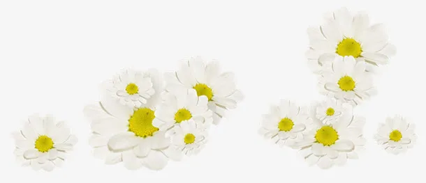 白色纯净小花装饰免抠