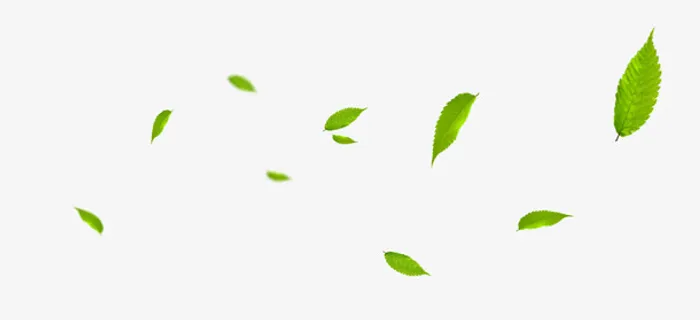 树叶漂浮元素免抠